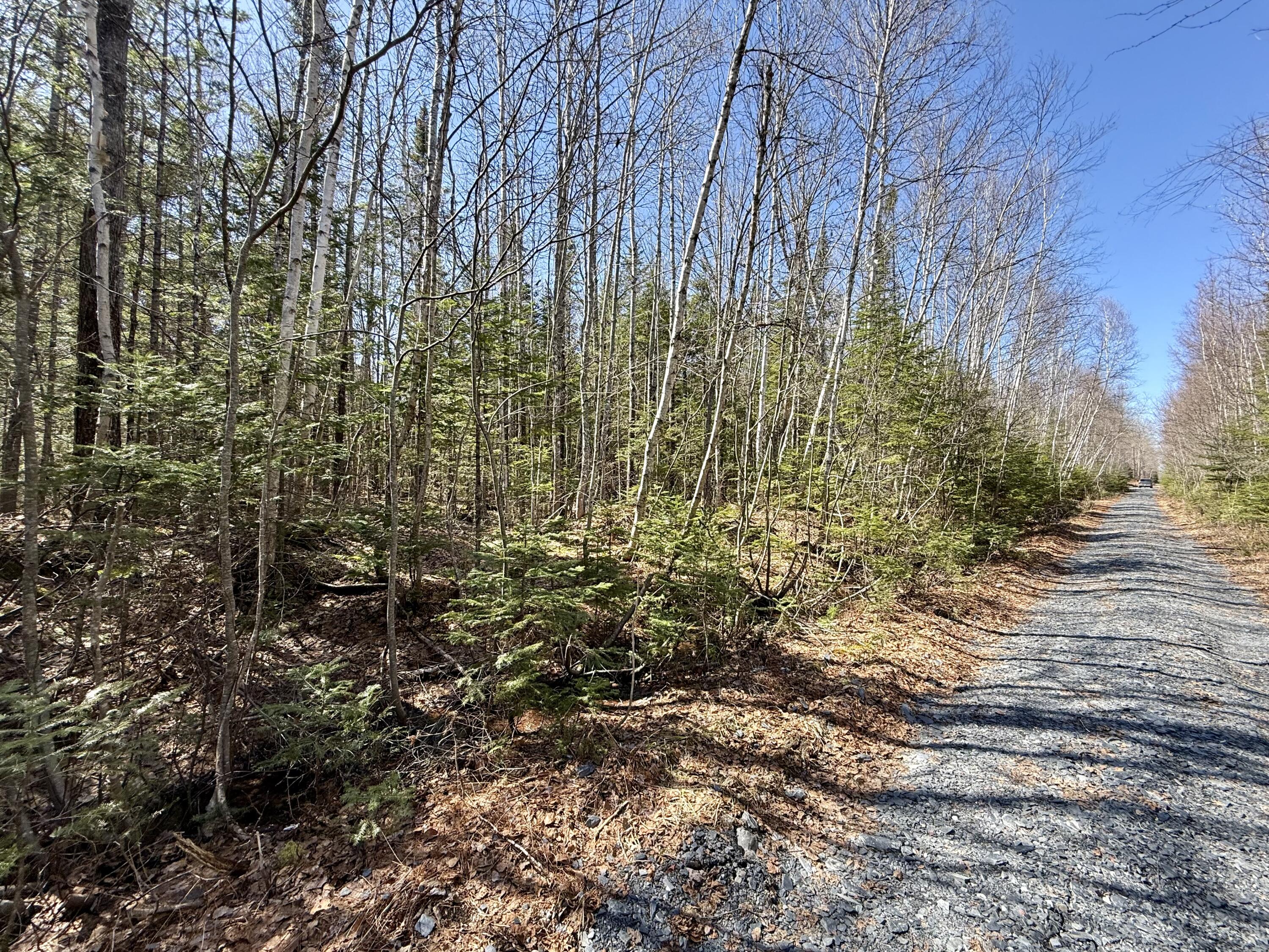 12-6 Degerstrom Road Monson, ME 04464 - Photo 4 of 6 IMG_6742