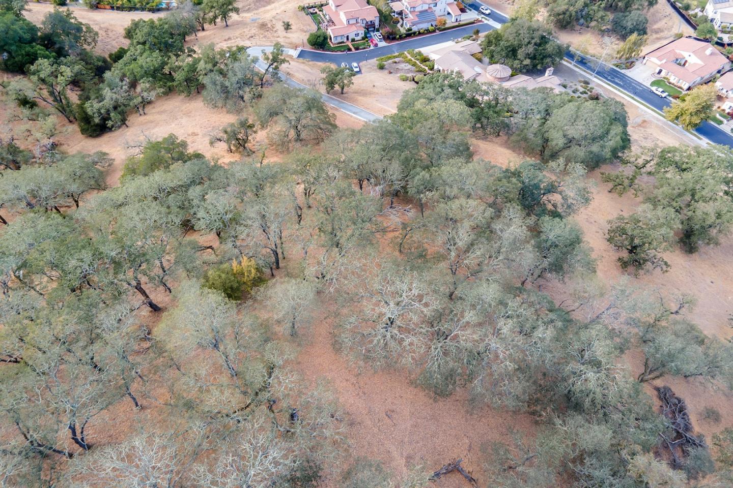 7265 Eagle Ridge Drive Gilroy, CA 95020 - Photo 24 of 34 a view of a forest with a lake