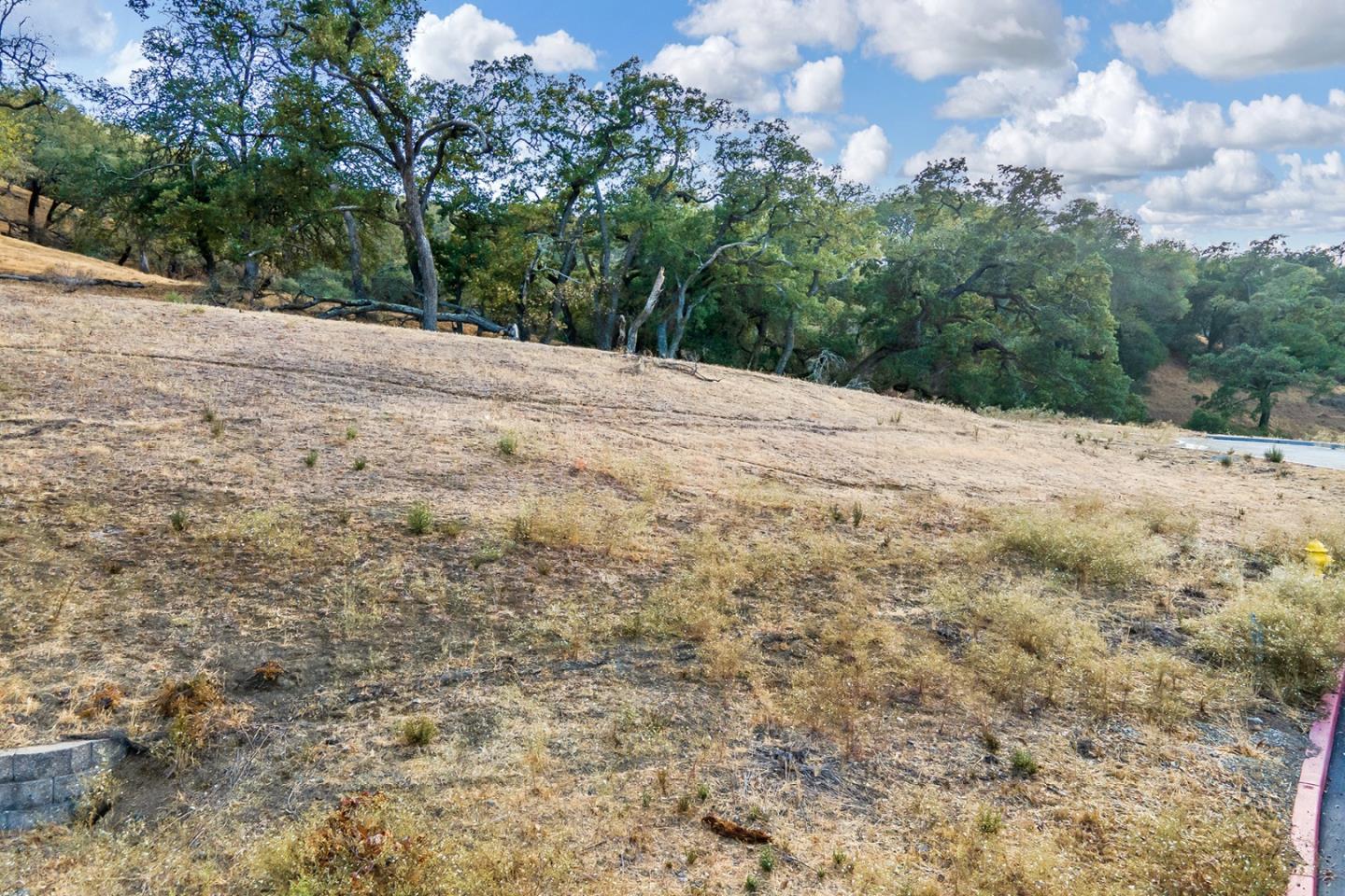 7265 Eagle Ridge Drive Gilroy, CA 95020 - Photo 31 of 34 a view of outdoor space and yard