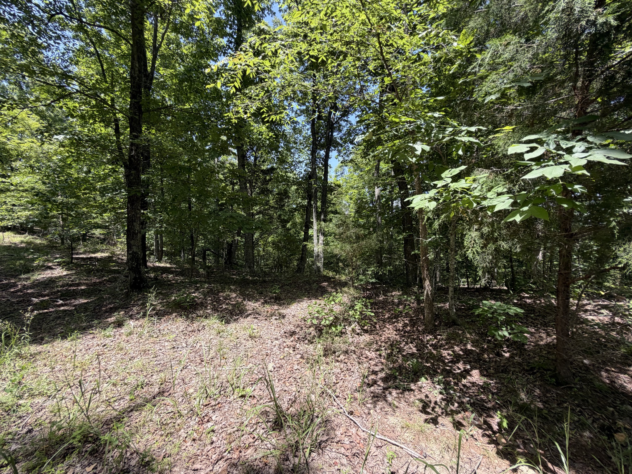215 Bar Bee Road Hohenwald, TN 38462 - Photo 38 of 51