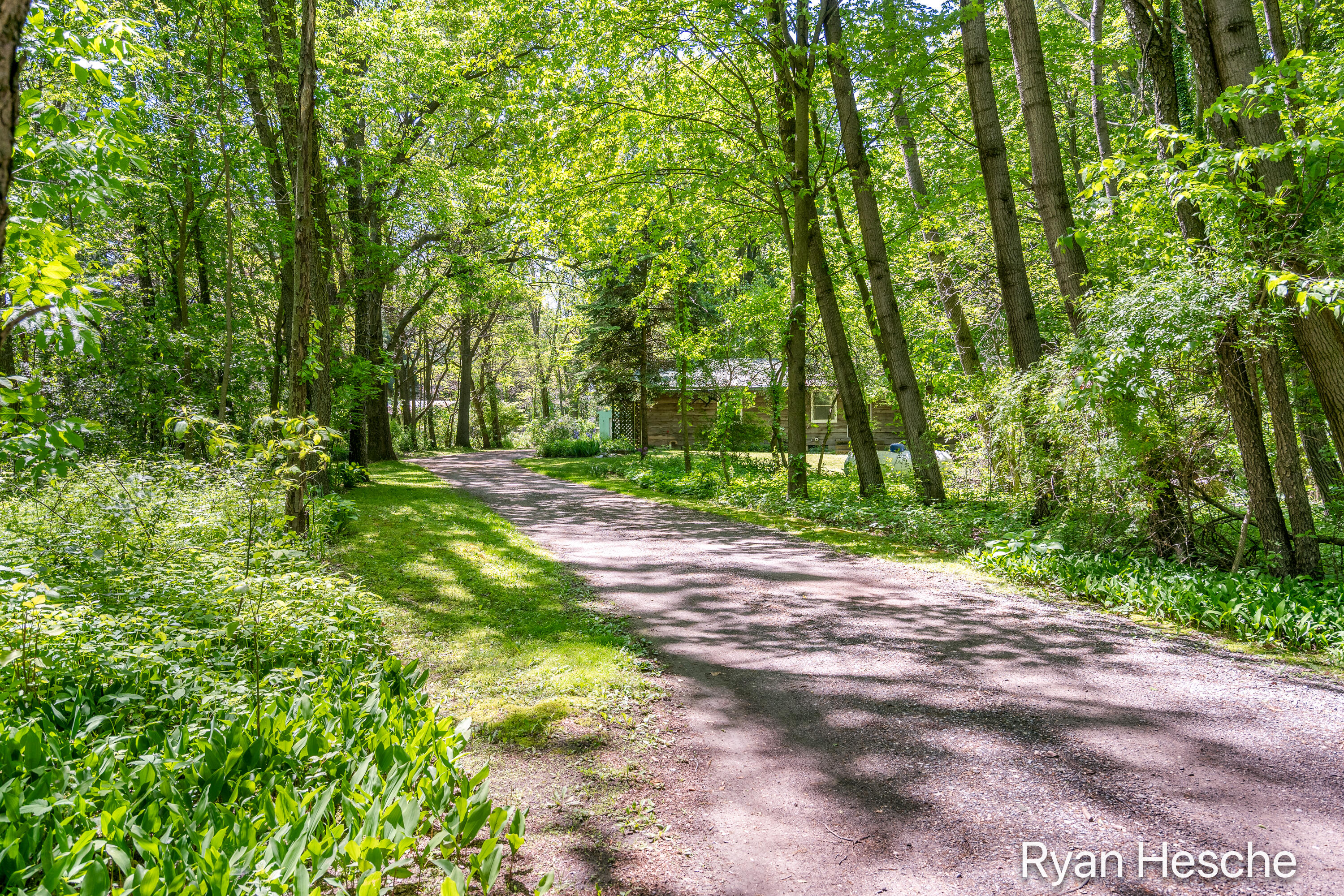 8775 Peck Lake Road Saranac, MI 48881 - Photo 3 of 43 3-print-8775 Peck Lake Rd-2