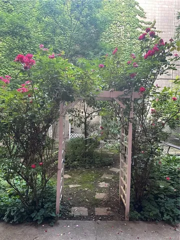 a view of a flower in a yard