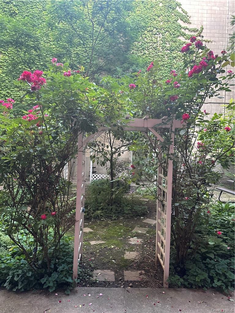 145-149 Morningside Avenue, Unit 2C Manhattan, NY 10027 - Photo 11 of 12 a view of a flower in a yard