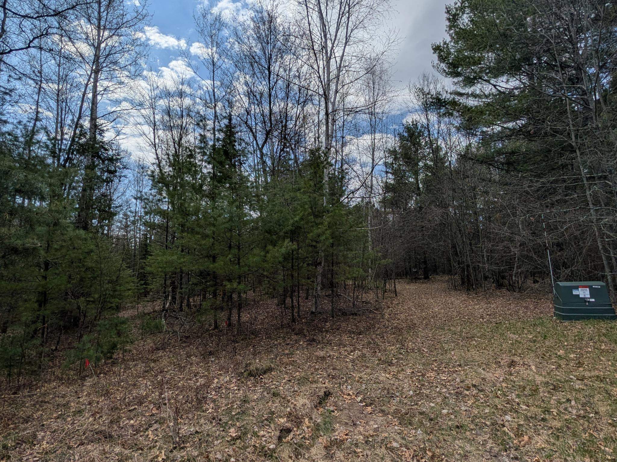 Fisher Road, Unit 11 Wausaukee, WI 54177 - Photo 2 of 8