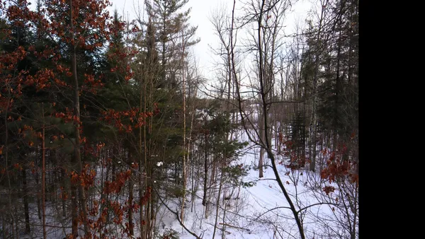 $94,900 | Fisher Road, Unit 11, Wausaukee, WI 54177