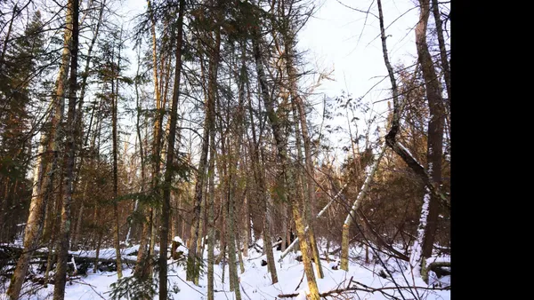 $94,900 | Fisher Road, Unit 11, Wausaukee, WI 54177