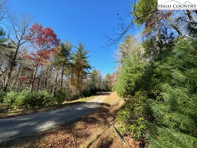 a view of a yard with a tree
