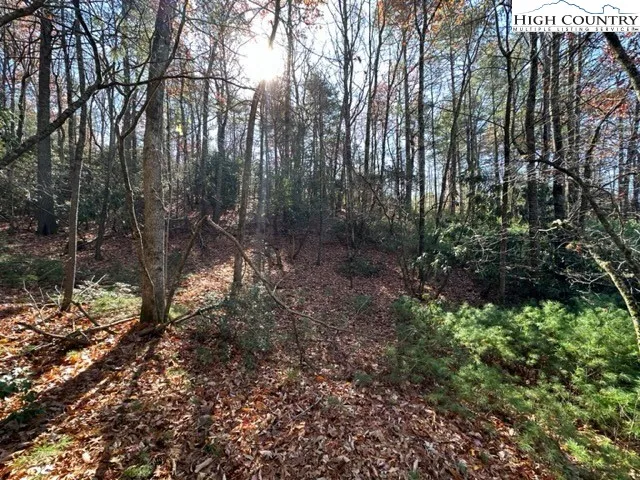 $64,000 | Lot 31-32 Thoreau Court, West Jefferson, NC 28694