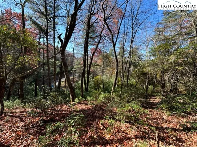 a view of outdoor space and green space
