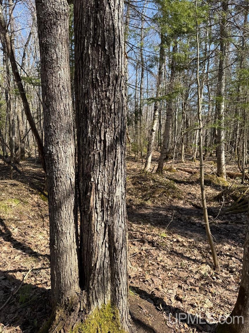 Tbdi Winona Road Toivola, MI 49965 - Photo 15 of 18