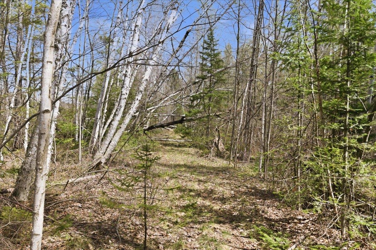 Pratt Junction Road Pelican Lake, WI 54463 - Photo 14 of 28