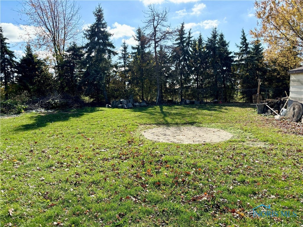 5438 Seaman Road Oregon, OH 43616 - Photo 29 of 32 Privacy in the backyard