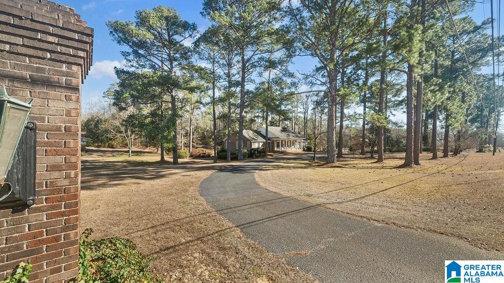 1306 Lay Dam Road Clanton, AL 35045 - Photo 5 of 68