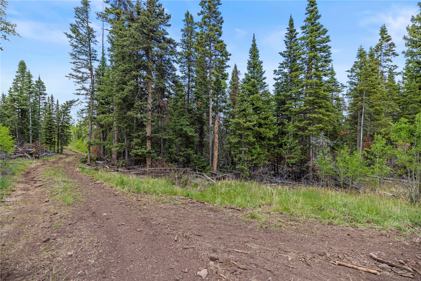 336 Blue Spruce Road Silverthorne, CO 80498 - Photo 19 of 28