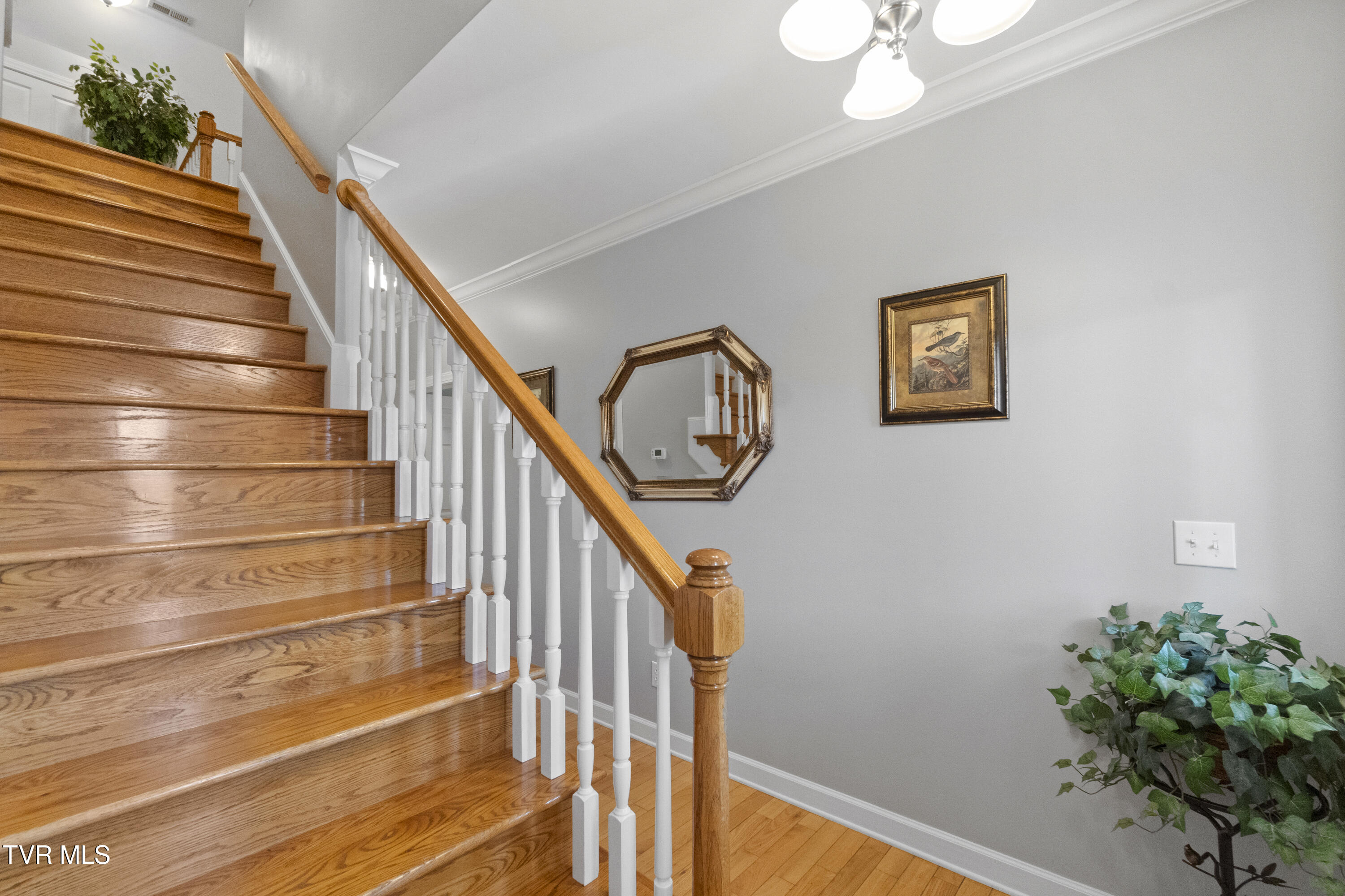 14 West Ridgefield Court Greeneville, TN 37745 - Photo 20 of 79 20