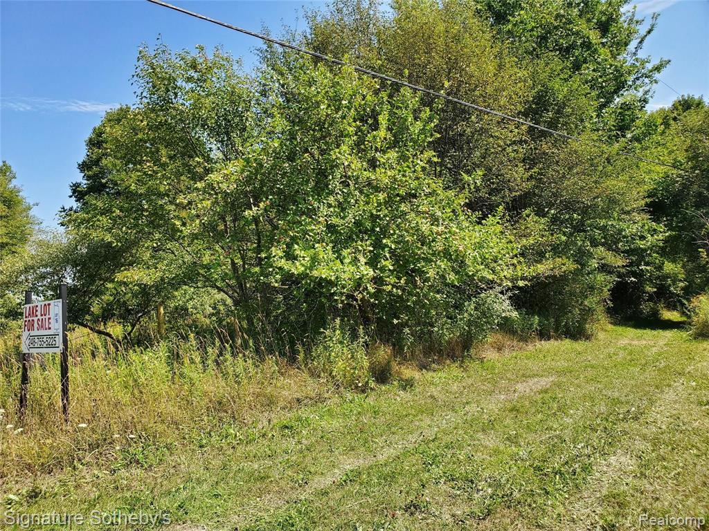 0 Bluff Road Port Austin, MI 48467 - Photo 2 of 5