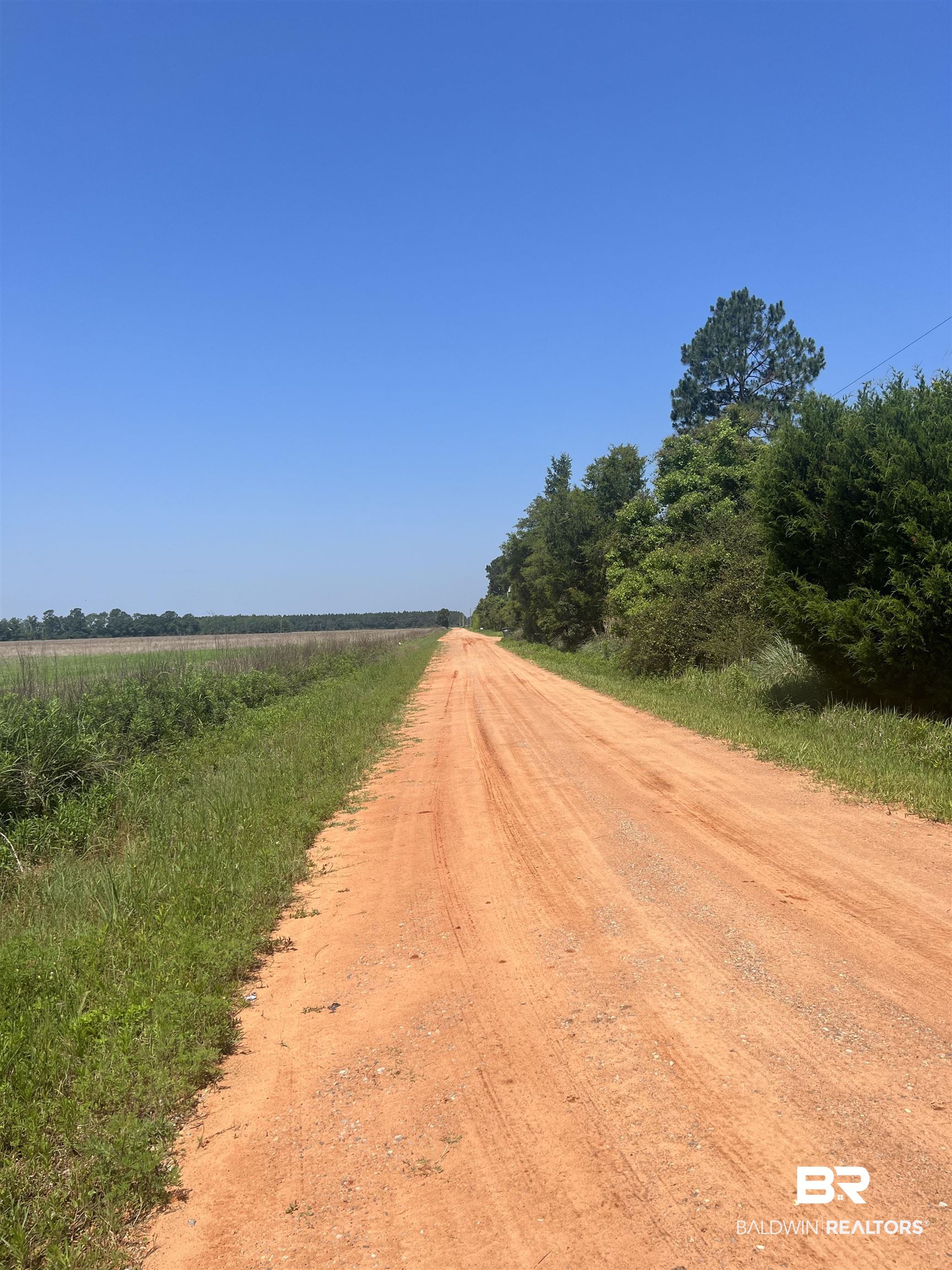 0 Cactus Court Elberta, AL 36530 - Photo 11 of 24 Gallery Image 11