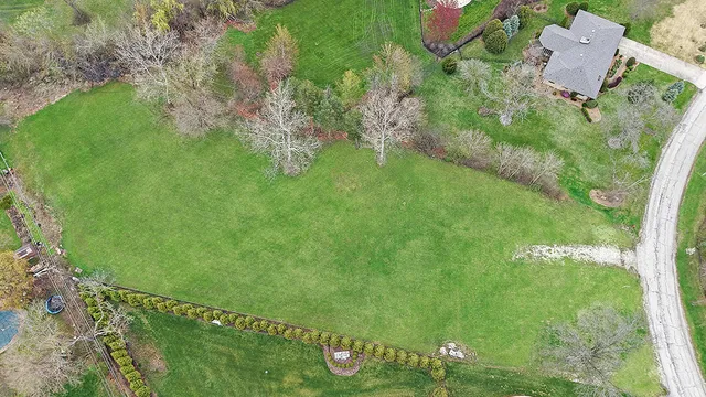 a view of a big yard with plants and large trees