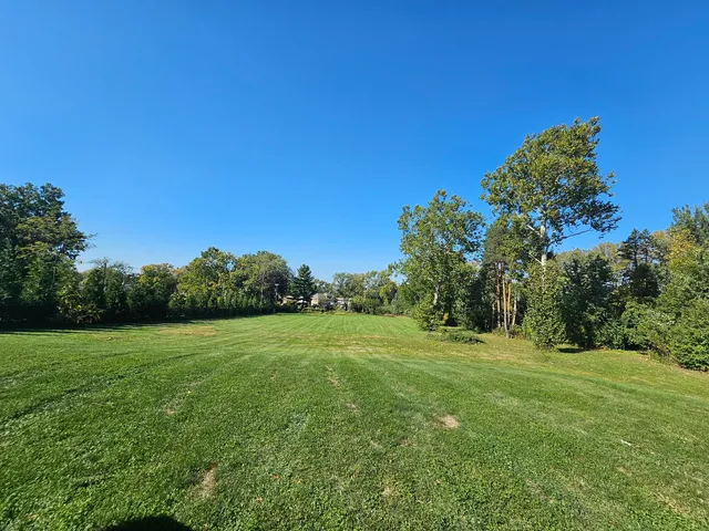 a view of a grassy field with trees in the background