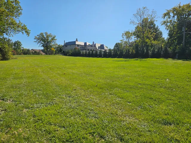 a view of yard with swimming pool and green space