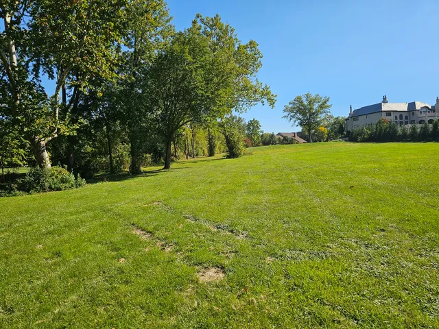 a view of field with trees in the background