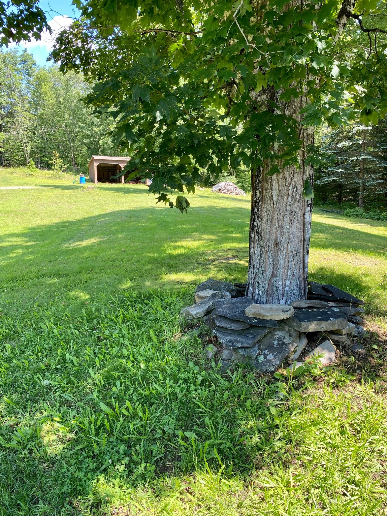 1177 Waterville Road Belfast, ME 04915 - Photo 12 of 12 IMG_2890(1)