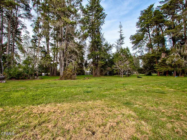 a view of yard with green space