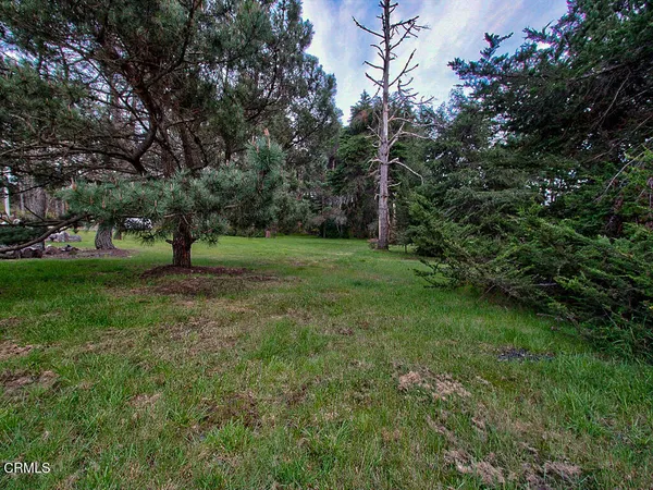 a view of a grassy field with trees