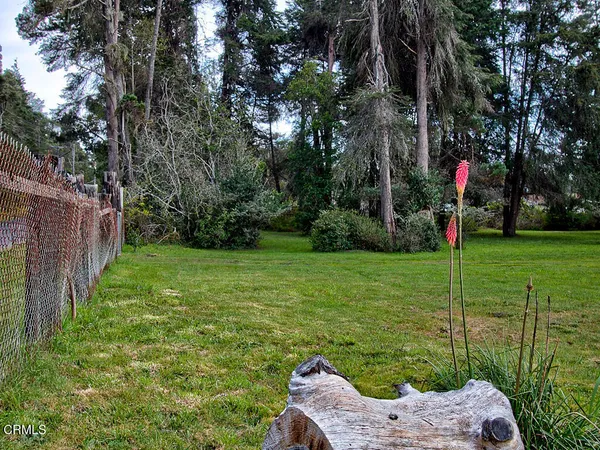 a view of a garden with a slide