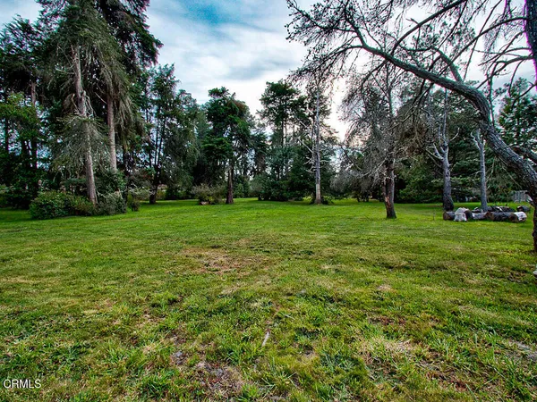 a view of a grassy field with trees