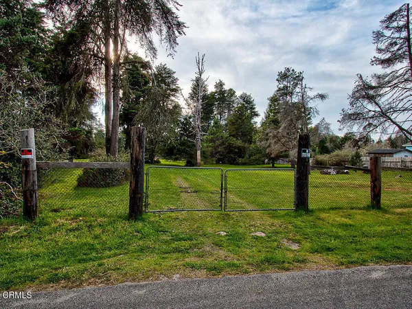 a view of a park with tree s