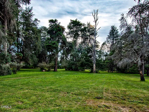 a view of a grassy field with trees