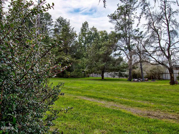 a big yard with lots of green space and trees