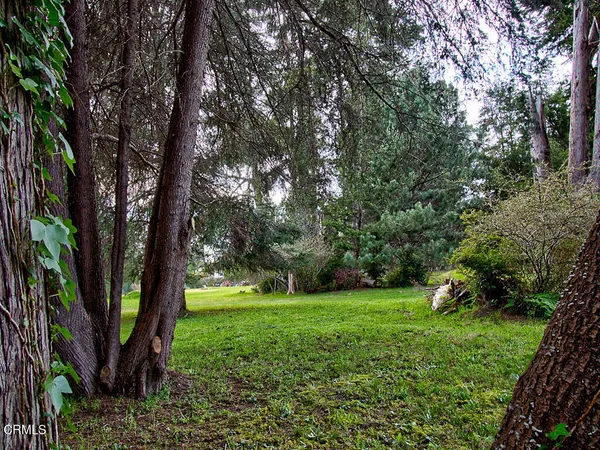 a backyard of a house with lots of green space