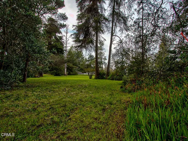 a view of yard with green space