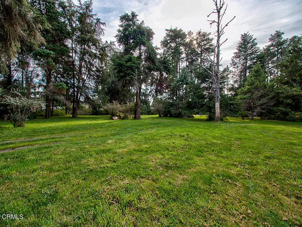 a view of a grassy field with trees