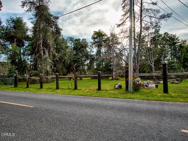 a view of park and trees