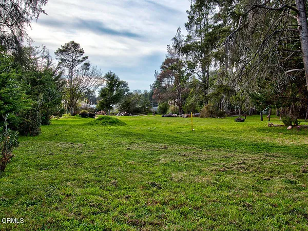 a view of a grassy field with trees
