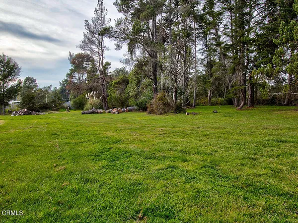 a view of a grassy field with trees