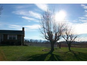 296 Lester Snapp Road Limestone, TN 37681 - Photo 4 of 18 Photo 4