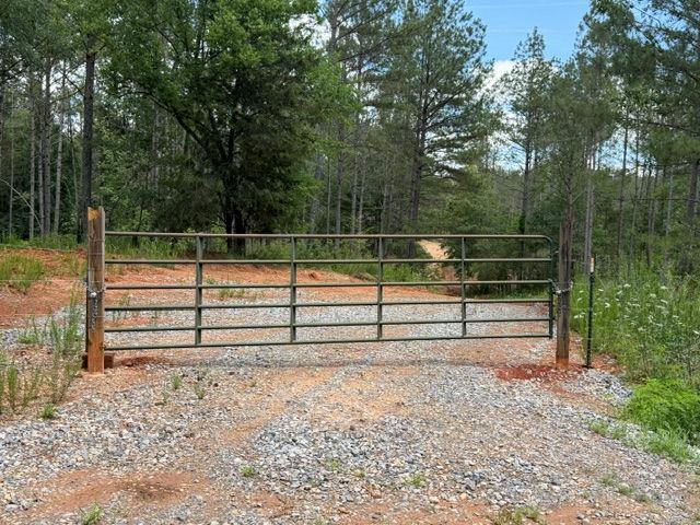 0 Iron Hill Road Taylorsville, GA 30178 - Photo 2 of 4 a view of a backyard