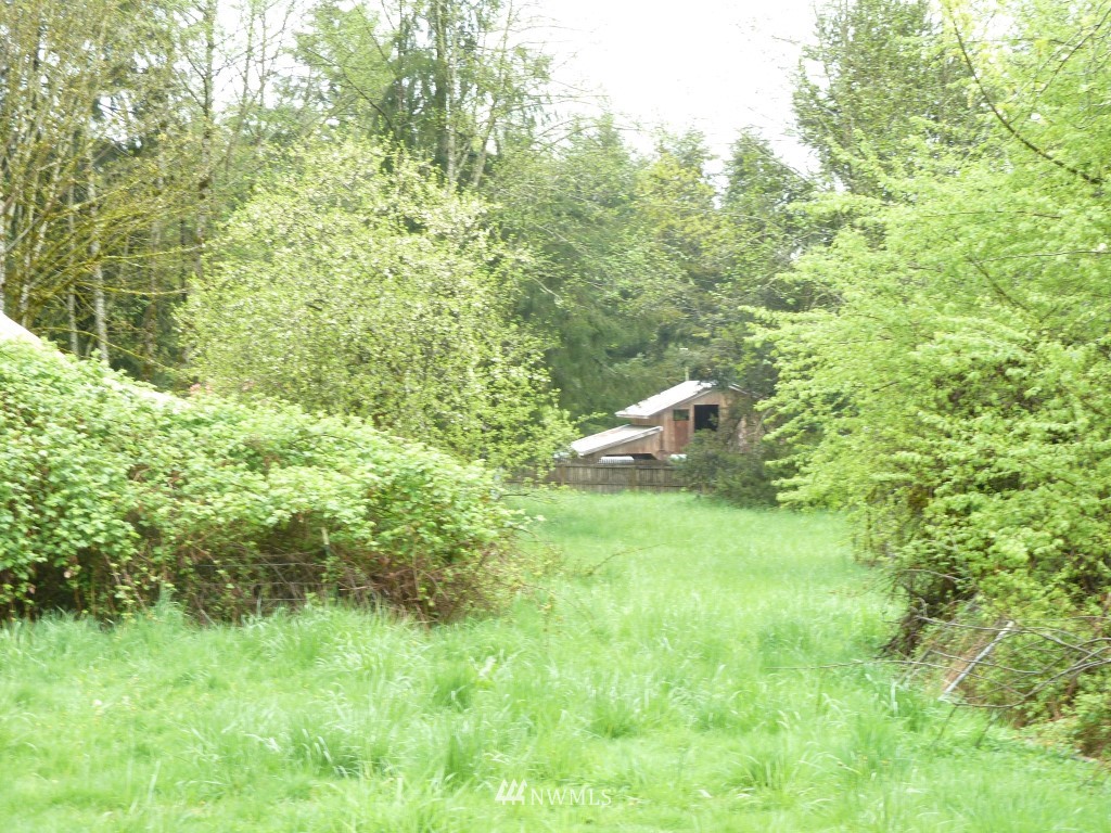 683 Jorgensen Road Onalaska, WA 98570 - Photo 17 of 19 Gallery Image 17