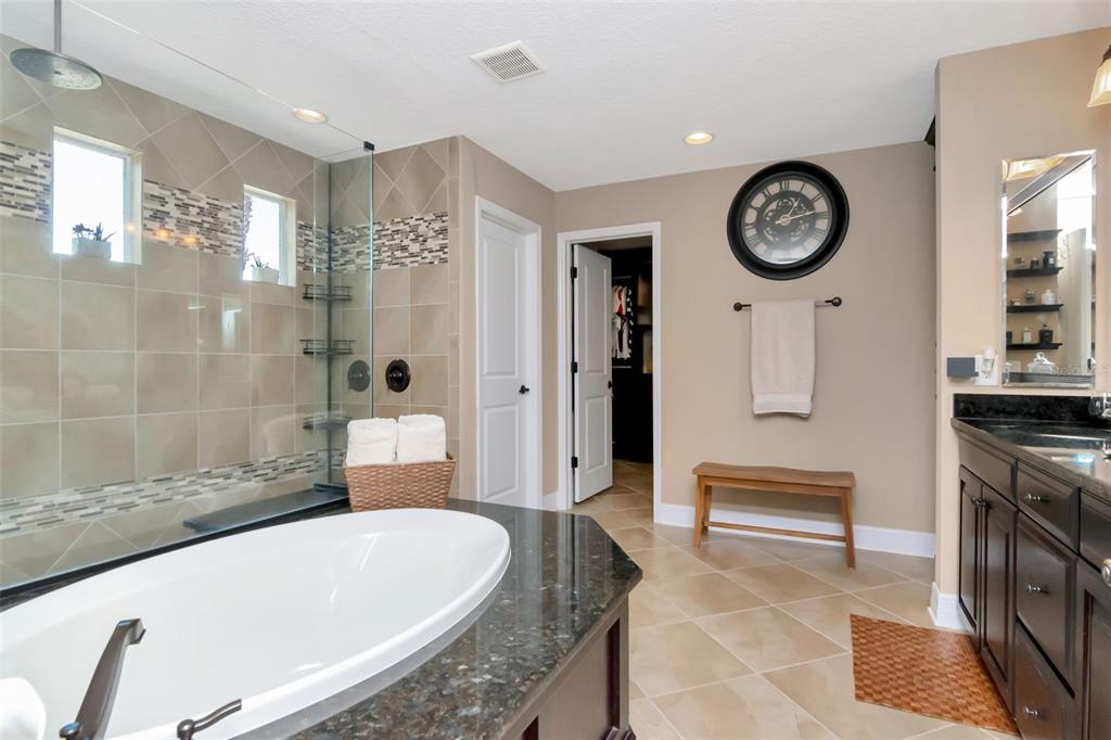 4527 Scarlet Loop Wesley Chapel, FL 33544 - Photo 19 of 33 a spacious bathroom with a granite countertop tub sink and mirror