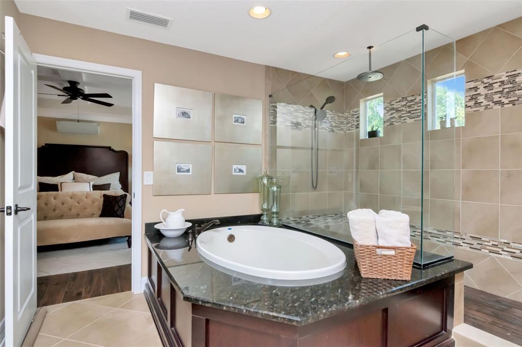 4527 Scarlet Loop Wesley Chapel, FL 33544 - Photo 20 of 33 a bathroom with a granite countertop sink a toilet and shower