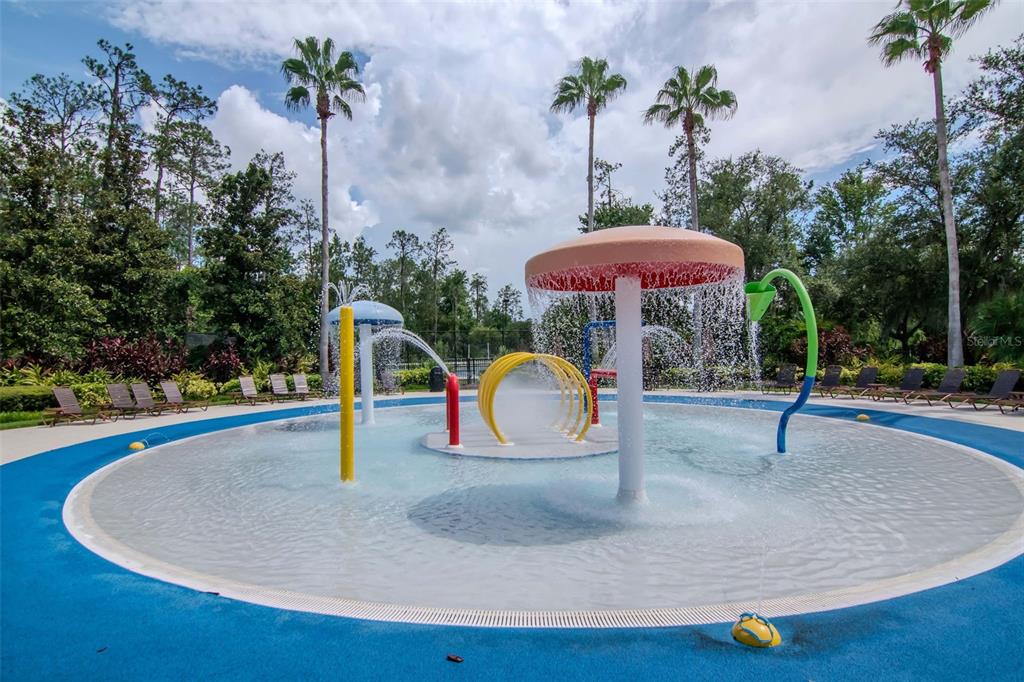 4527 Scarlet Loop Wesley Chapel, FL 33544 - Photo 33 of 33 a swimming pool with outdoor seating