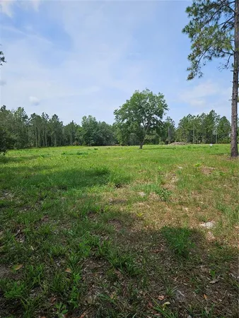 a view of field with trees in the background