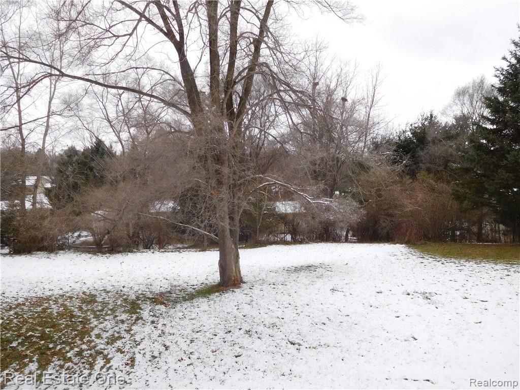 8755 Henry Road Pinckney, MI 48169 - Photo 33 of 35 DSCN1881.JPG