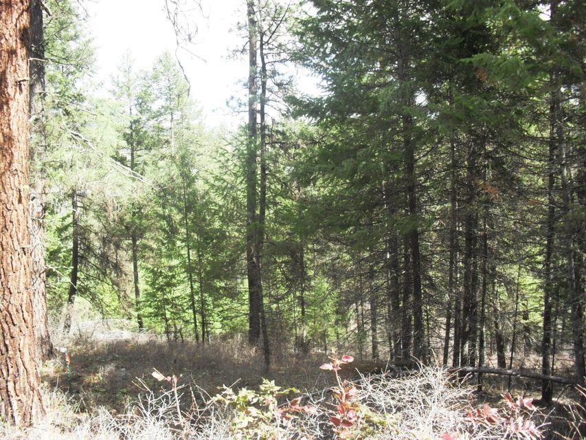 Lot 14 Crown Ridge Way Colville, WA 99114 - Photo 8 of 17