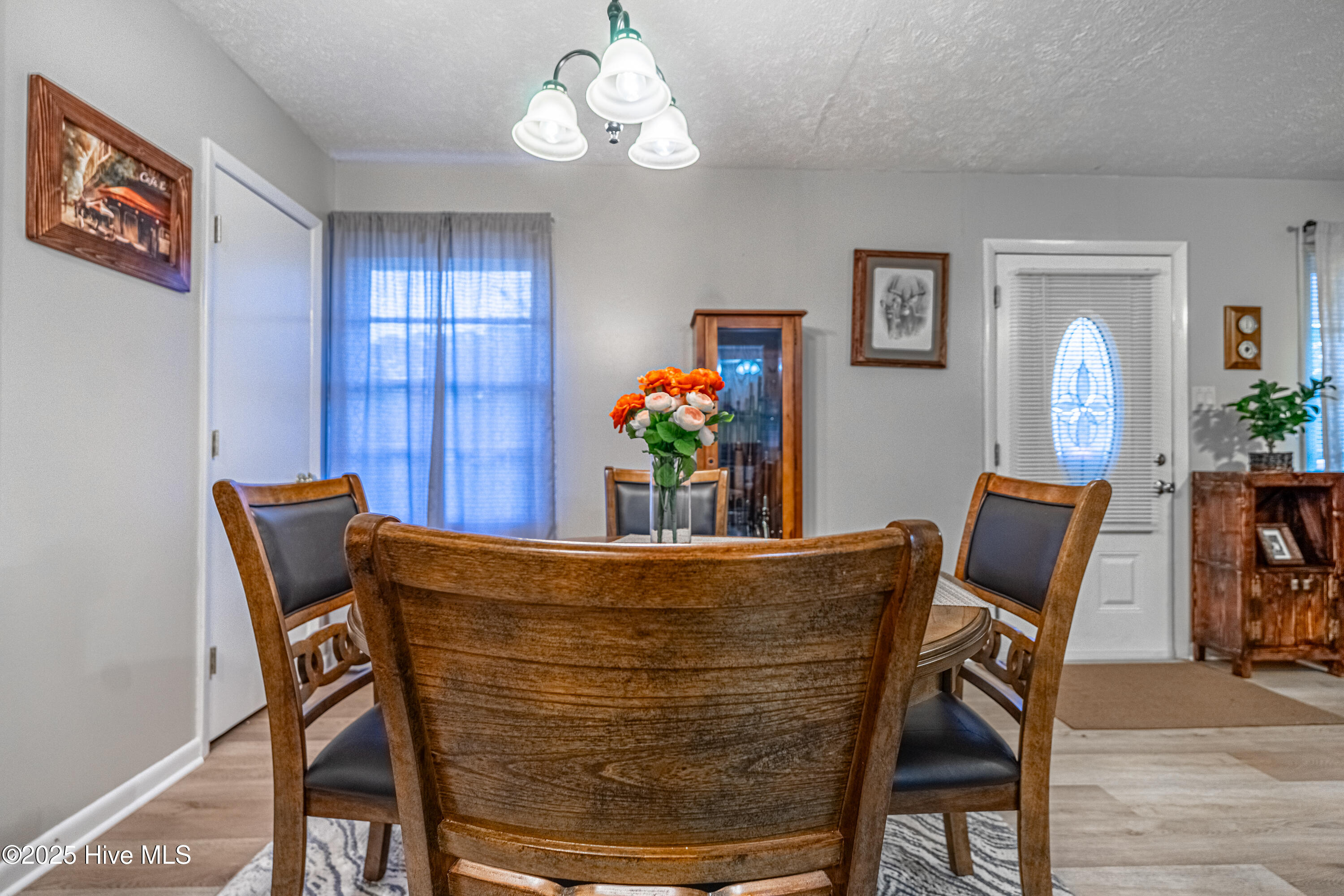 4850 Alamac Road Lumberton, NC 28358 - Photo 9 of 47 INTERIOR (19 of 28)