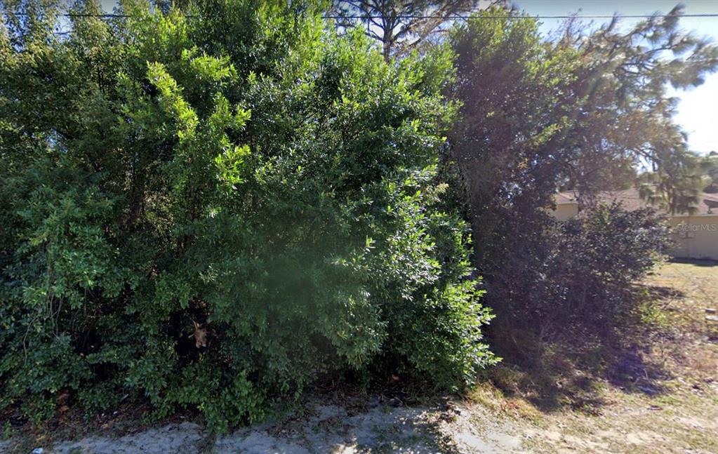 4436 Azora Road Spring Hill, FL 34608 - Photo 3 of 3